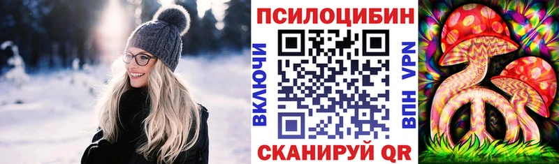 сколько стоит Красный Сулин Галлюциногенные грибы Psilocybine cubensis