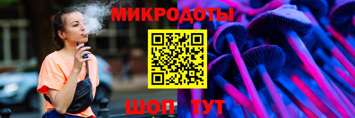 Красный Сулин  Псилоцибиновые грибы Psilocybine cubensis  Вход с VPN 